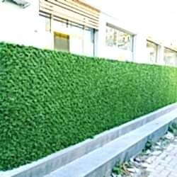 05fe1dc1-ef51-4661-b794-b26fb1b81f7d 05fe1dc1-ef51-4661-b794-b26fb1b81f7d